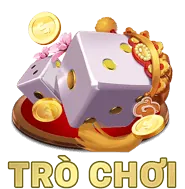 Các môn khác