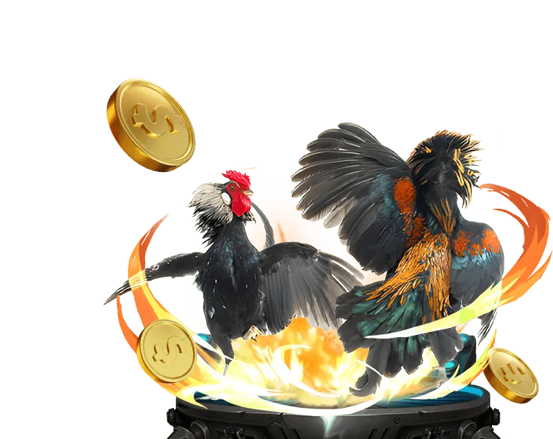 Đặc quyền VIP Kbet Win